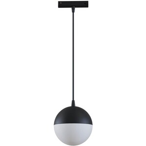 фото Светильник maytoni трековый светодиодный track lamps tr018-2-10w3k-b