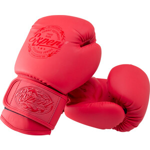 Перчатки боксерские FIGHT EXPERT BGS-V010, красный, 10 oz