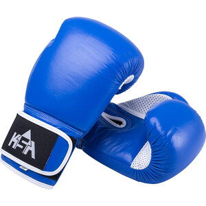 Перчатки боксерские KSA Wolf Blue, кожа, 14 oz