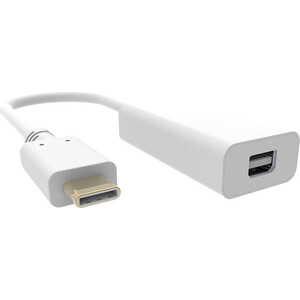 Адаптер Buro BHP RET TPC_MDP USB Type-C (m) miniDisplayPort (f) белый адаптер zmi al271 type c otg usb 3 0 белый