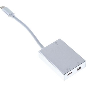 Адаптер Buro BHP USB Type-C (m) USB Type-C (f) miniDisplayPort (f) 0.1м серебристый адаптер pero ad02 otg type c to usb 2 0 серебристый