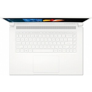 фото Ноутбук acer conceptd 3 cn315-72g-72ga