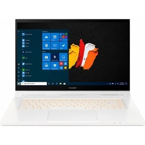 

Трансформер Acer ConceptD 3 Ezel Pro CC315-72P-79A1, ConceptD 3 Ezel Pro CC315-72P-79A1