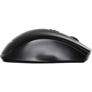 Мышь Acer OMR030 черный, оптическая (ZL.MCEEE.007)