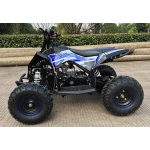 Бензиновый квадроцикл MOTAX Gekkon 70cc 1+1 черно-синий от Техпорт