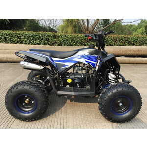 Бензиновый квадроцикл MOTAX Gekkon 70cc 1+1 черно-синий от Техпорт