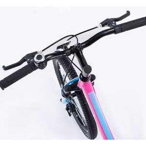 фото Велосипед royalbaby chipmunk cm20-3 explorer aluminium pink