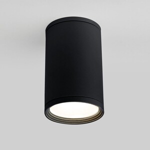 

Уличный светильник Elektrostandard Light 4690389175916, Light 4690389175916