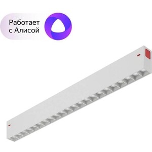 фото Трековый светодиодный светильник denkirs smart dk8002-wh