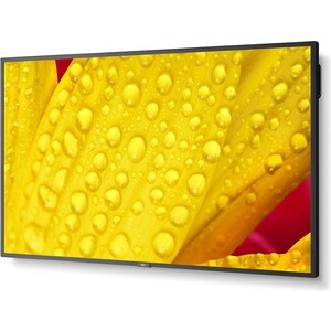 фото Монитор nec 50'' me-series large format display, uhd, 400cd/m2, d-led backlight, 18/7 proof, sdm slot, cm-slot (me501)