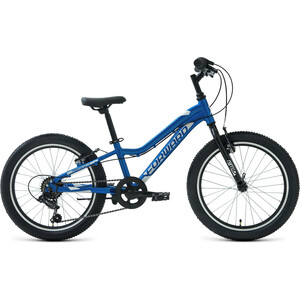 фото Велосипед forward twister 20 1.0 (2021) 10 синий