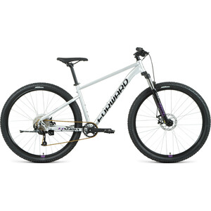 Велосипед Forward SPORTING 29 XX D (2022) 21 серебристый/фиолетовый