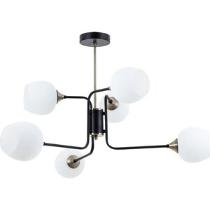 фото Подвесная люстра arte lamp skat a3564pl-6bk