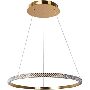 фото Подвесная светодиодная люстра arte lamp orione a2182sp-60pb