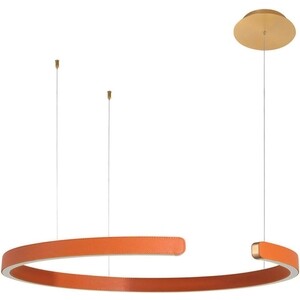 фото Подвесной светодиодный светильник loft it ring 10025/600 orange