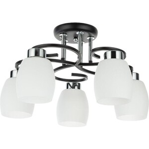 фото Потолочная люстра arte lamp krit a4505pl-5bk