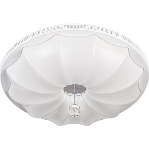 фото Потолочный светодиодный светильник escada 10231/s led