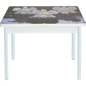Стол обеденный Катрин Симпл поворотно раскладной, с фотопечатью, бетон белый, орхидея на черных камнях, опора круглая муар белый