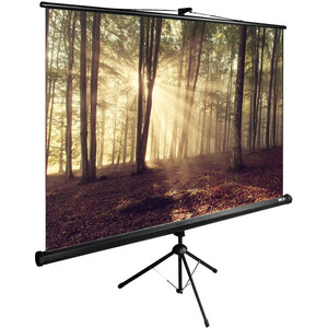 Экран для проектора Cactus 135x180 см TriExpert CS-PSTE-180x135-BK 4:3 напольный рулонный черный экран для проектора s ok 266x150 triscreen 16 9 напольный 120