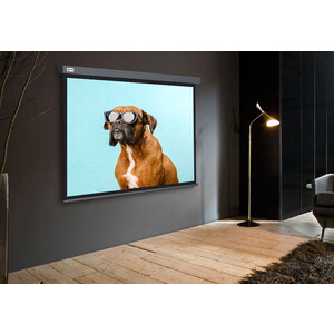 фото Экран для проектора cactus 149.4x265.7 см wallscreen cs-psw-149x265-sg 16:9 настенно-потолочный рулонный серый