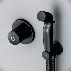 Смеситель для душа Am.Pm X-Joy TouchReel с гигиеническим душем, черный (F40P85A22)
