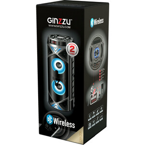 Портативная колонка Ginzzu GM-209, RGB/BT/USB/TF/FM/ ДУ