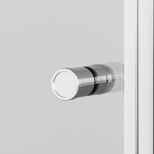Душевая дверь Ambassador Elysium 100x200 прозрачная, хром (111011111CX)