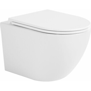 Унитаз подвесной безободковый Avimano Emotion с сиденьем микролифт, белый глянцевый (1000020) сковорода emotion 24 см e3000404