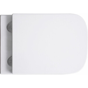 Унитаз подвесной безободковый Avimano Vision с сиденьем микролифт, белый глянцевый (1000040)