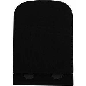 Унитаз подвесной безободковый Avimano Vision с сиденьем микролифт, черный матовый (1000042)