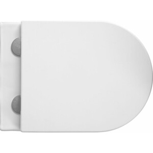 Унитаз подвесной безободковый Avimano Ambition с сиденьем микролифт, белый матовый (1000051)