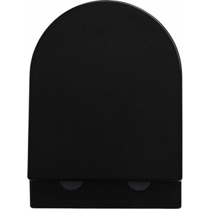 Унитаз подвесной безободковый Avimano Ambition с сиденьем микролифт, черный матовый (1000052)