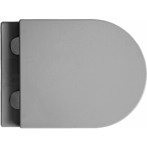 Унитаз подвесной безободковый Avimano Ambition с сиденьем микролифт, серый матовый (1000053)