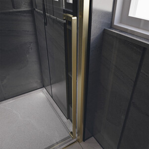 Душевая дверь Veconi Premium Trento PTD-30G 120х200 прозрачная, брашированное золото (PTD30-G-120-01-C4)