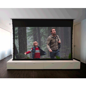 Экран для проектора S'OK In-ceiling SCPSMC-221X125ED45 100' 16:9, потолочный, полотно Anti Light экран потолочный sinbo