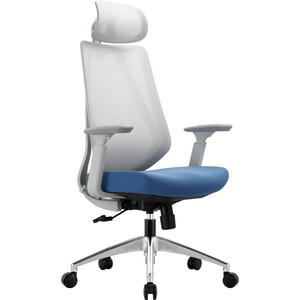 Офисное кресло Chairman CH580 серый пластик, серый/голубой (00-07131366) офисное кресло для руководителей dobrin benjamin lmr 117b серый