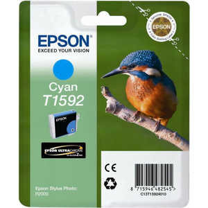 

Картридж Epson Stylus Photo R2000 (C13T15924010), Stylus Photo R2000 (C13T15924010)