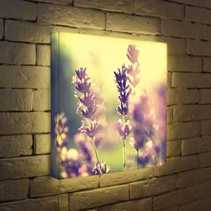 FotonioBox Лайтбокс Полевые цветы 45x45-044