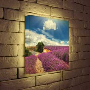 FotonioBox Лайтбокс Цветущие поля 35x35-034