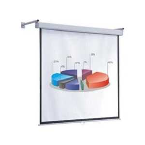 

Экран ScreenMedia Economy SEM-4303, Economy SEM-4303