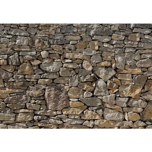 

Фотообои Komar Stone Wall 368 х 254см. (8-727), Stone Wall 368 х 254см. (8-727)
