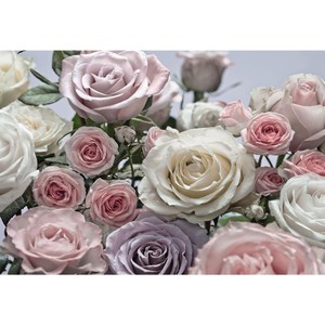 

Фотообои Komar Floraison 368 х 254см. (8-736), Floraison 368 х 254см. (8-736)