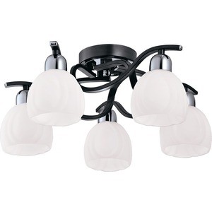 

Люстра IDLamp 389/5PF-Blackchrome, 389/5PF-Blackchrome
