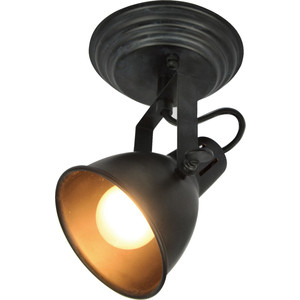 

Спот Silver Light Bastille 310.42.1, Bastille 310.42.1