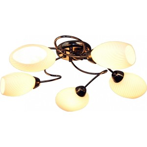 

Потолочная люстра IDLamp 853/5PF-Blackchrome, 853/5PF-Blackchrome