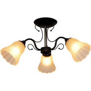 

Потолочная люстра IDLamp 872/3PF-Argentoscuro, 872/3PF-Argentoscuro