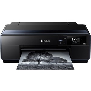 Принтер Epson SC-P600 (C11CE21301 )