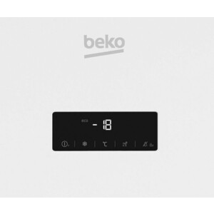 Морозильная камера Beko RFNK 290E23W