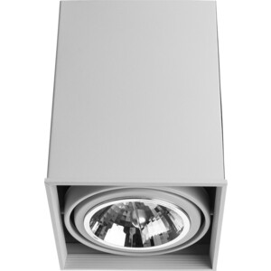 фото Потолочный светильник arte lamp a5936pl-1wh