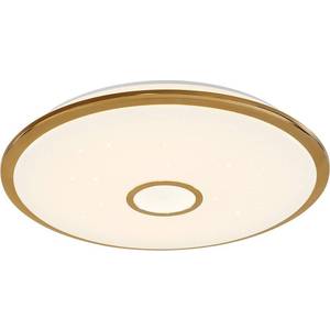 

Потолочный светодиодный светильник Citilux CL703102R, CL703102R